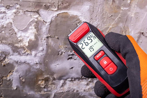 Best Post-Flood Mold Remediation in Ele, AR